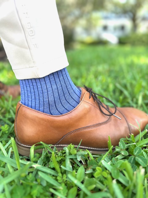 Southern Scholar secondary photo 1